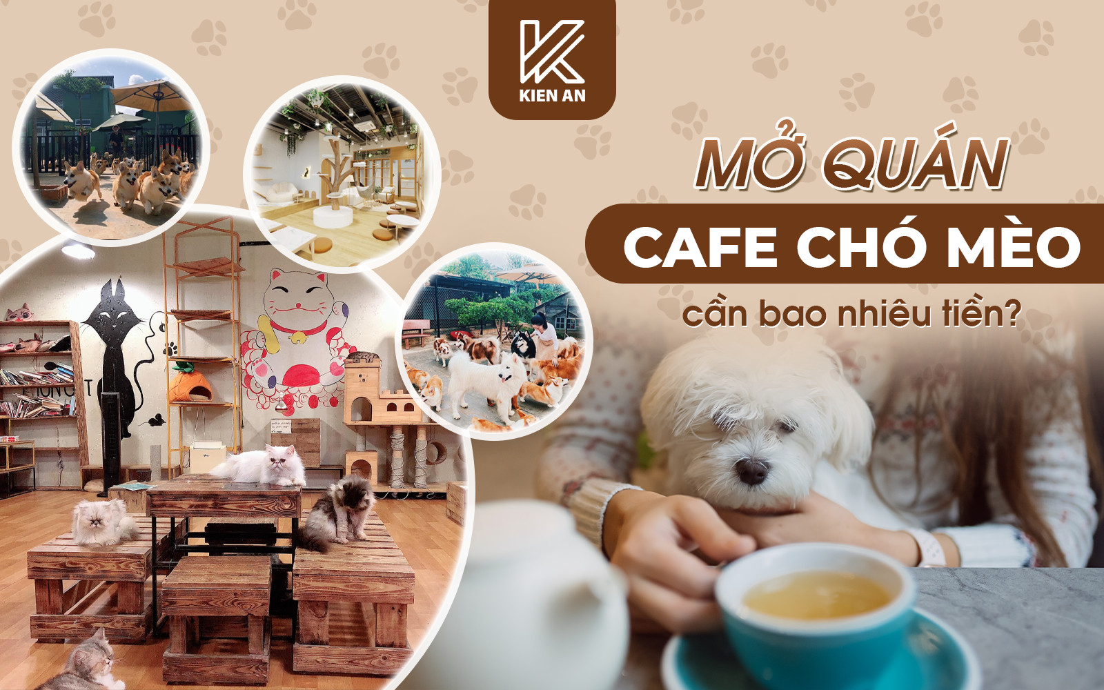  Mô hình kinh doanh cafe thú cưng đang được giới trẻ yêu thích